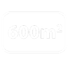 600m